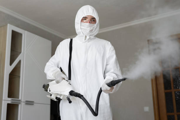 Mold Documentation for Insurance Claims in Burton, MI