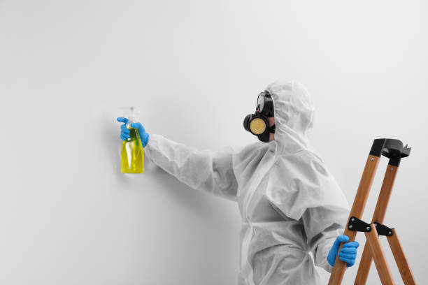 Best Industrial Mold Remediation  in Burton, MI